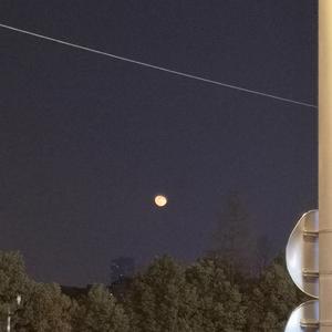 337p欧美日本超大胆艺术裸
